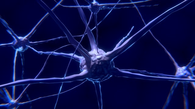 Can stem cells address nerve injury and central nervous system pain?