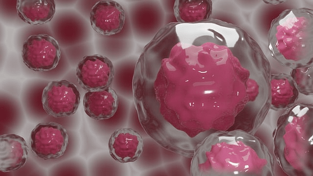Diseased cells may be repaired using stem cells transplants