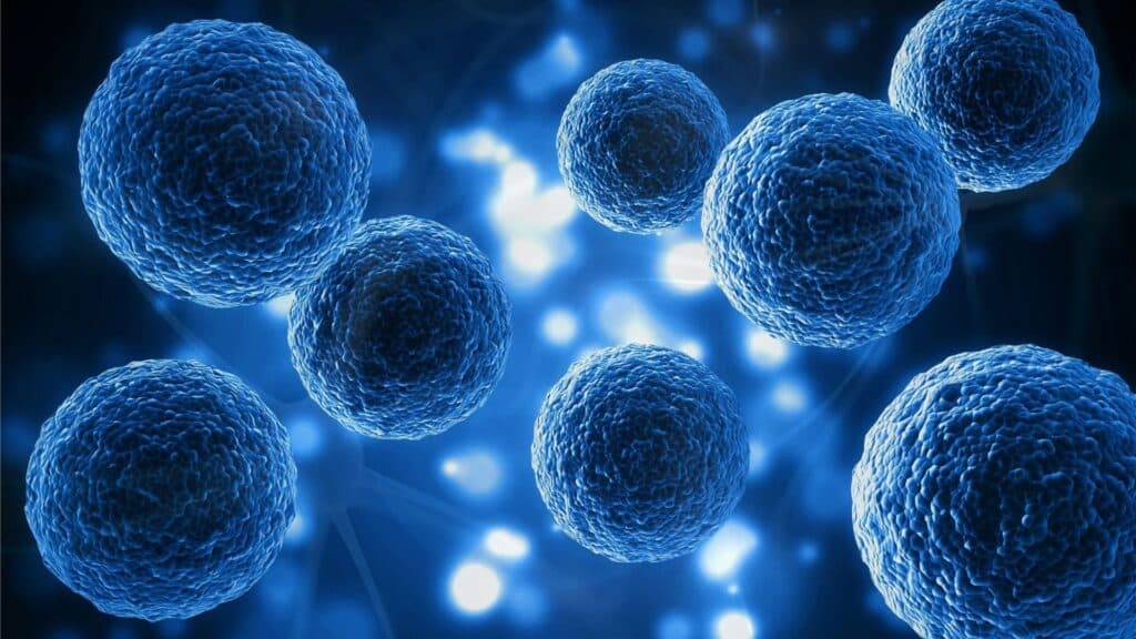 stem cells, stem cell treatment, adult stem cells