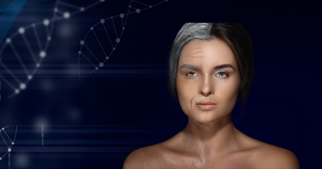 Future Anti Aging Research