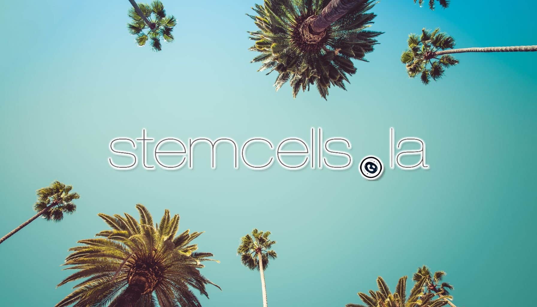 Image of Los Angeles Style Palm Trees advertising Stem Cells LA